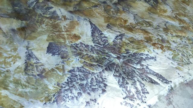 Prints of actual leaves are used on fabrics at Aranya, the natural dye and textiles design unit. (Ayesha Banerjee)
