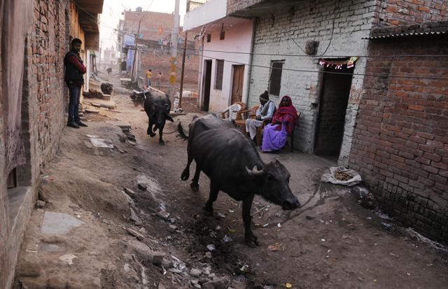 Faizullahganj residents lament the unhygienic conditions in their area. (Deepak Gupta/HT Photo) Faizullahganj residents lament the unhygienic conditions in their area. (Deepak Gupta/HT Photo)