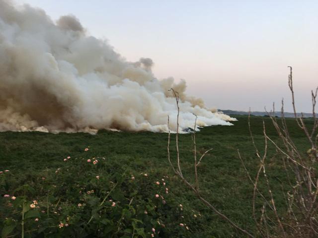 Karnataka State Pollution Control Board chairman Lakshman said notices have been issued to BBMP, Bengaluru Water Supply and Sewage Board and other agencies to stop the dumping. (HT Photo)