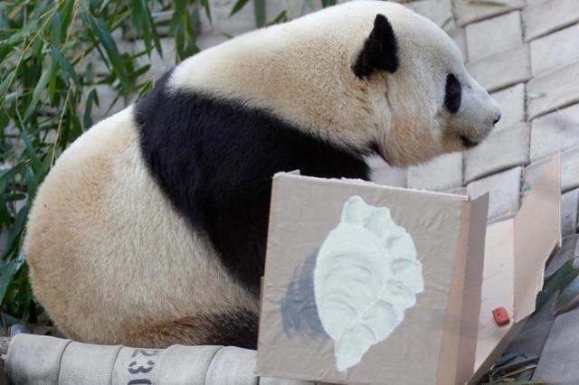 Panda Bao Bao eats dumplings during a farewell event at the National Zoo in Washington, DC, on February 16. (Reuters Photo) Panda Bao Bao eats dumplings during a farewell event at the National Zoo in Washington, DC, on February 16. (Reuters Photo)