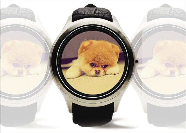 Smartwatches today are like cute puppies and yet no one picks them up Smartwatches today are like cute puppies and yet no one picks them up
