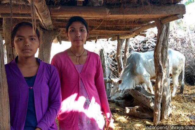 Seventeen-year-old Binita (left) rides 7km on her bicycle through forests in Katarniaghat sanctuary, in the central Uttar Pradesh district of Bahraich. She said a school near her house would help her attend school more often. (Shreya Shah/Indiaspend) Seventeen-year-old Binita (left) rides 7km on her bicycle through forests in Katarniaghat sanctuary, in the central Uttar Pradesh district of Bahraich. She said a school near her house would help her attend school more often. (Shreya Shah/Indiaspend)