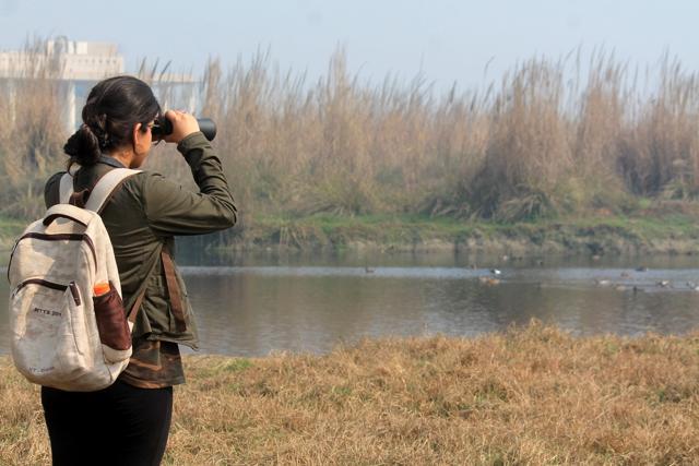 Birdwatching @ Shiv Nadar University. (Photos by Meghna Joshi)