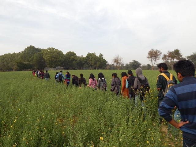 Birdwatching @ Amity University Haryana (Photos by Kushagra Rajendra) Birdwatching @ Amity University Haryana (Photos by Kushagra Rajendra)