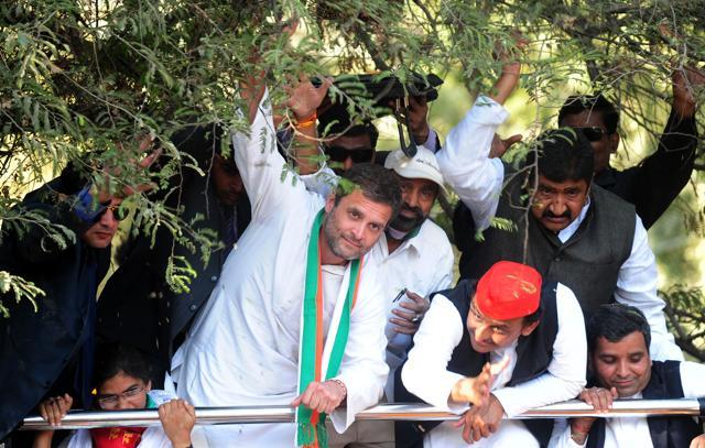Congress vice president Rahul Gandhi and Uttar Pradesh chief minister Akhilesh Yadav pass under foliage as they take part in a joint roadshow in Allahabad last week. (AFP) Congress vice president Rahul Gandhi and Uttar Pradesh chief minister Akhilesh Yadav pass under foliage as they take part in a joint roadshow in Allahabad last week. (AFP)