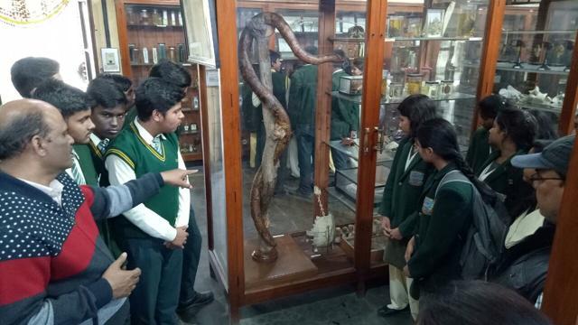 The zoology department’s Dr SC Baugh museum was among the most sought-after destinations for the children, said a university official. (Deepak Gupta/HT photo) The zoology department’s Dr SC Baugh museum was among the most sought-after destinations for the children, said a university official. (Deepak Gupta/HT photo)