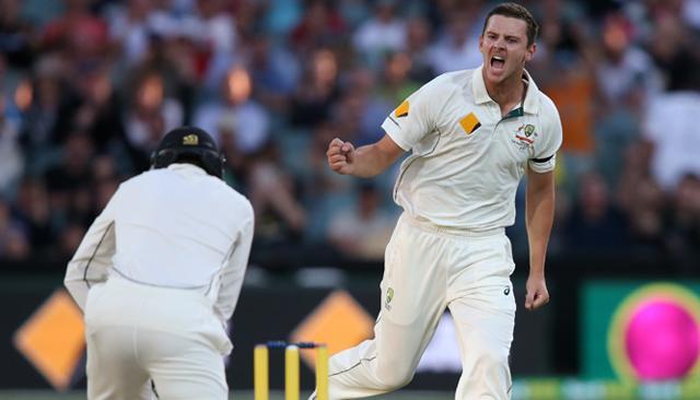 Australia's Josh Hazlewood, right, celebrates the wicket of New Zealand's Martin Guptill. (AP) Australia's Josh Hazlewood, right, celebrates the wicket of New Zealand's Martin Guptill. (AP)