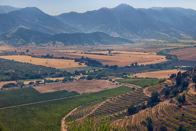 Sample Chilean wine in Colchagua Valley. (Istock) Sample Chilean wine in Colchagua Valley. (Istock)