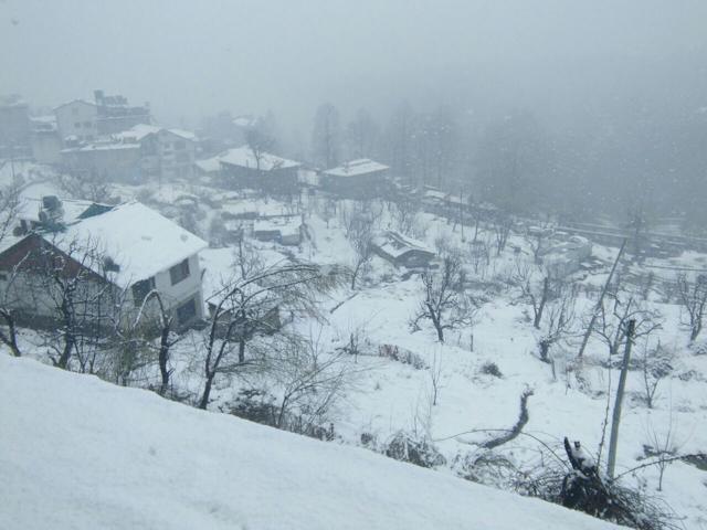 The Shimla Met department predicted more snow, rain in the next 24 to 48 hours. (HT Photo)