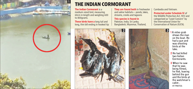 Article image Article image