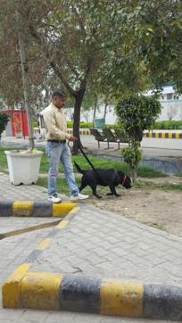 Sniffer dogs at the spot in Amritsar on Wednesday. (HT Photo)