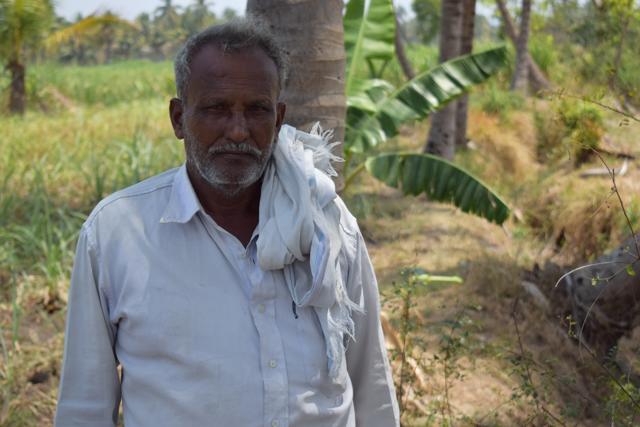 Shivarama Shetty (60), a farmer, planted 25 coconut trees on the periphery of his sugarcane farm, and harvests them every two months. But the yield this March has been poor. (HT PHOTO)
