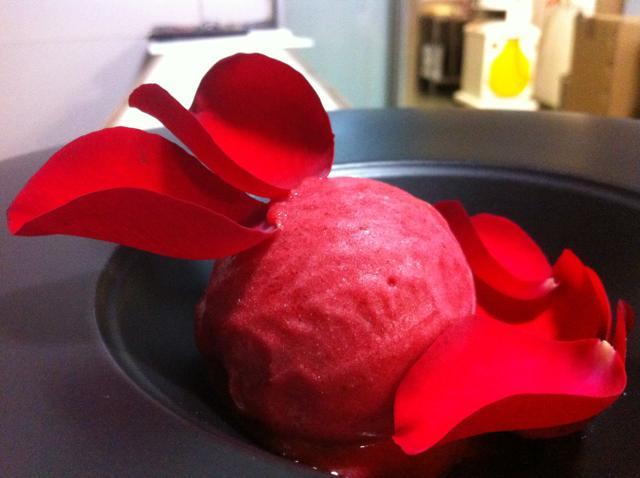 PINK ROSE SORBET PINK ROSE SORBET