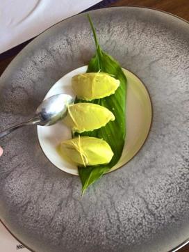 TURMERIC SORBET TURMERIC SORBET