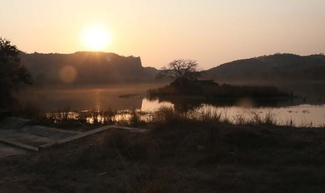 Kailadevi and Sawai Man Singh sanctuary were not managed intensively like Ranthambore in earlier days. (Himanshu Vyas/HT Photo) Kailadevi and Sawai Man Singh sanctuary were not managed intensively like Ranthambore in earlier days. (Himanshu Vyas/HT Photo)