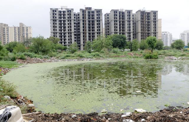 Until last year, there was a pond in Sector 47 filled with green algae, plastic and garbage. It served its purpose during monsoon when it accumulated run-off water from nearby areas and served as a catchment pit. (HT Photo) Until last year, there was a pond in Sector 47 filled with green algae, plastic and garbage. It served its purpose during monsoon when it accumulated run-off water from nearby areas and served as a catchment pit. (HT Photo)
