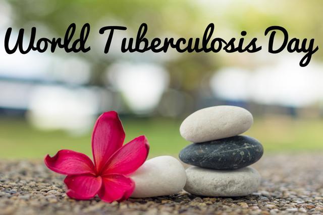Tuberculosis kills more people each year than any other infectious disease. In 2015, it claimed the lives of an estimated 1.8 million people around the world. (Shutterstock) Tuberculosis kills more people each year than any other infectious disease. In 2015, it claimed the lives of an estimated 1.8 million people around the world. (Shutterstock)