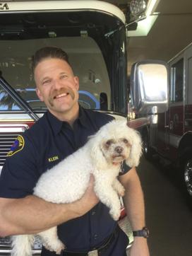 Santa Monica Firefighter Andrew Klein holds Nalu after reviving him. (AP Photo) Santa Monica Firefighter Andrew Klein holds Nalu after reviving him. (AP Photo)