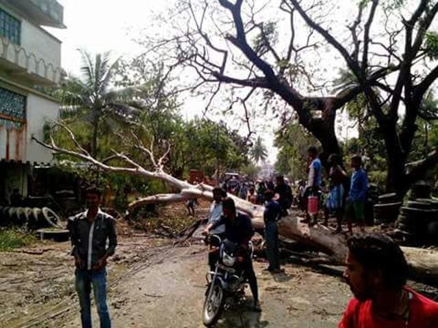 Hundreds of trees were uprooted, blocking roads. (HT Photo)