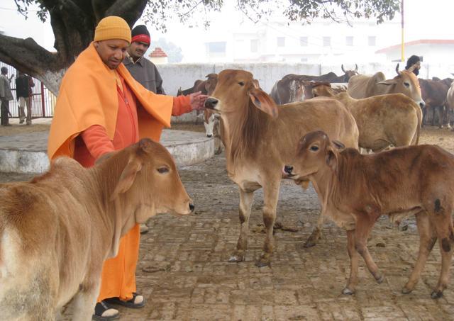 Don’t harass couples, UP chief minister Yogi Adityanath has told the anti-Romeo squads. (HT File Photo) Don’t harass couples, UP chief minister Yogi Adityanath has told the anti-Romeo squads. (HT File Photo)