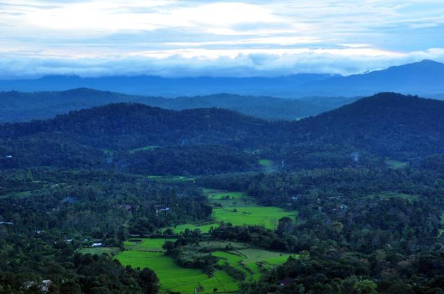 December to February is the best time to visit Madikeri. (Shutterstock) December to February is the best time to visit Madikeri. (Shutterstock)