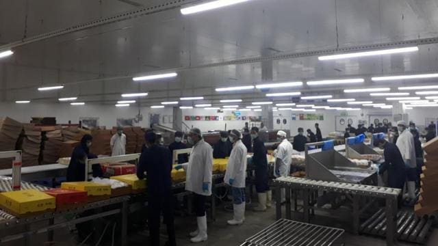 The Aligarh-based Frigerio Conserva Allana Limited is one of the country’s biggest slaughterhouse-cum-meat processing units, contributing to a huge industry that provides livelihood to an estimated 25 lakh people directly or indirectly. (Gulam Jeelani/HT Photo) The Aligarh-based Frigerio Conserva Allana Limited is one of the country’s biggest slaughterhouse-cum-meat processing units, contributing to a huge industry that provides livelihood to an estimated 25 lakh people directly or indirectly. (Gulam Jeelani/HT Photo)