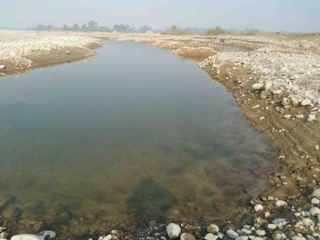Illegal quarrying in rivers Illegal mining continue unabated in Ganga. (MS Nawaz/Hindustan Times) Illegal quarrying in rivers Illegal mining continue unabated in Ganga. (MS Nawaz/Hindustan Times)