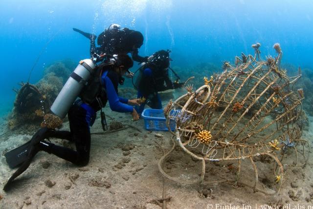 A steel structure would be first installed on the seabed and could be of any shape ranging from a simple arch to as complex as that of a motorcycle. (EunJae IM ) A steel structure would be first installed on the seabed and could be of any shape ranging from a simple arch to as complex as that of a motorcycle. (EunJae IM )