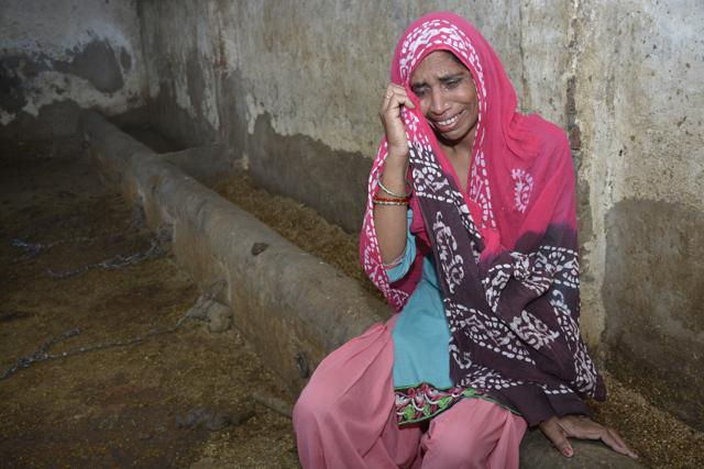 Dharam Wati said she is still paying off the loan she took to buy buffaloes that were stolen in the early hours of March 1. (Sakib Ali/HT Photo) Dharam Wati said she is still paying off the loan she took to buy buffaloes that were stolen in the early hours of March 1. (Sakib Ali/HT Photo)
