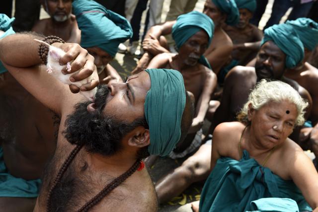 Farmers said that with their livelihood taken away, they would be forced to eat mice. They demanded government intervention and a relief package. In the picture above farmers pose with mice to drive home their point. (Saumya Khandelwal/HT PHOTO) Farmers said that with their livelihood taken away, they would be forced to eat mice. They demanded government intervention and a relief package. In the picture above farmers pose with mice to drive home their point. (Saumya Khandelwal/HT PHOTO)