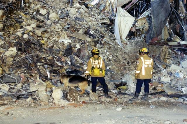 Rescue workers with sniffer dogs make their way through the rubble as they look for survivors. (FBI Records)