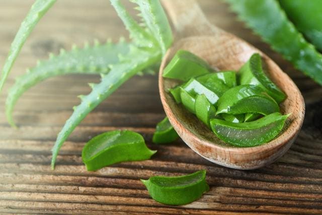 Aloe vera gel helps heal sunburns. (Shutterstock) Aloe vera gel helps heal sunburns. (Shutterstock)