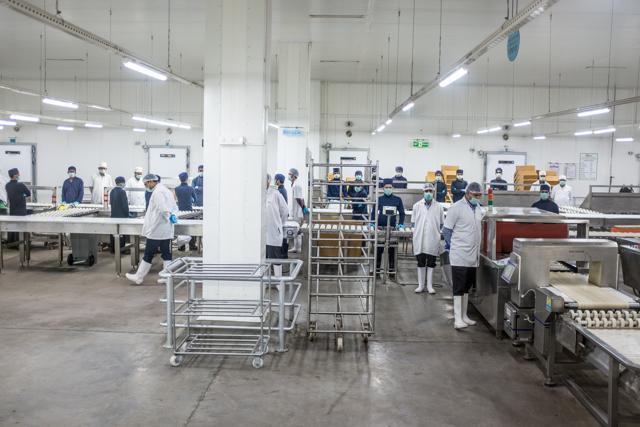 One of the largest export abattoirs in the country, the Allanasons plant at Aligarh employs 2100 workers . (Niha Masih) One of the largest export abattoirs in the country, the Allanasons plant at Aligarh employs 2100 workers . (Niha Masih)