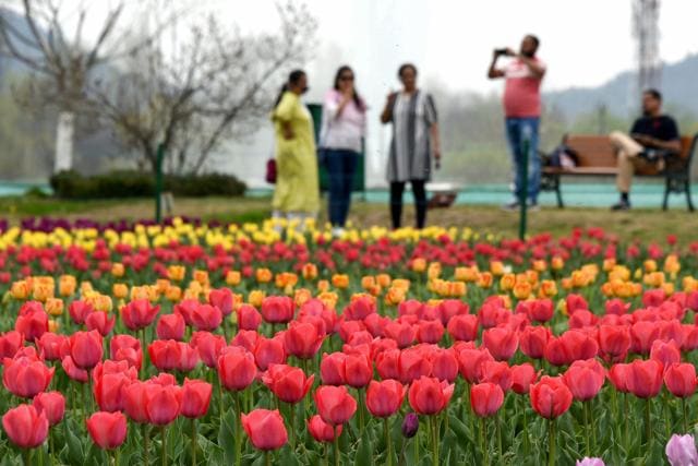 Nearly 1.75 lakh tourists visited the garden last year, generating a revenue of Rs 58 lakh. (PTI) Nearly 1.75 lakh tourists visited the garden last year, generating a revenue of Rs 58 lakh. (PTI)