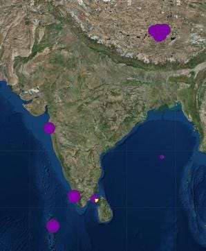 A satellite map of India showing the spots with high plastic litter. The Mumbai shoreline is marked (the purple patches) as one of them A satellite map of India showing the spots with high plastic litter. The Mumbai shoreline is marked (the purple patches) as one of them