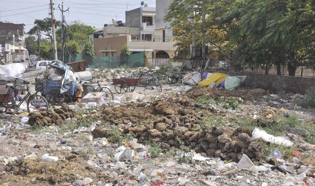 Garbage and cow dung dumped near Sarthak school in Railly village. (Sant Arora/HT Photo) Garbage and cow dung dumped near Sarthak school in Railly village. (Sant Arora/HT Photo)