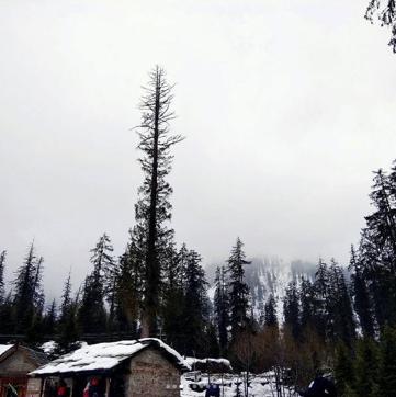 Watch your step at Solang Valley. You’ll fall more often than you’ll account for and it’ll hurt when you go to bed that night.