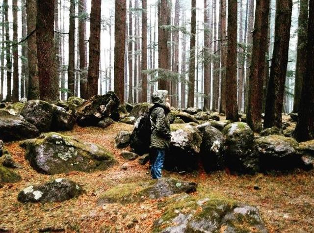 Inside the Nature Park.