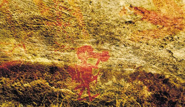 The rockscape features images of elephants, sambar, bison, deer, stylised peacocks dance alongside rhino, hunting, battle and pastoral scenes and depictions of community life. (Kalpak Pathak/HT Photo) The rockscape features images of elephants, sambar, bison, deer, stylised peacocks dance alongside rhino, hunting, battle and pastoral scenes and depictions of community life. (Kalpak Pathak/HT Photo)