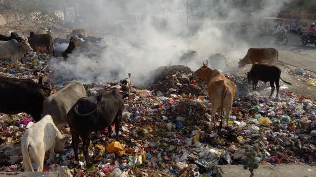 Trash lying on the roadside in Tudiaganj. (Deepak Gupta/ HT Photo) Trash lying on the roadside in Tudiaganj. (Deepak Gupta/ HT Photo)