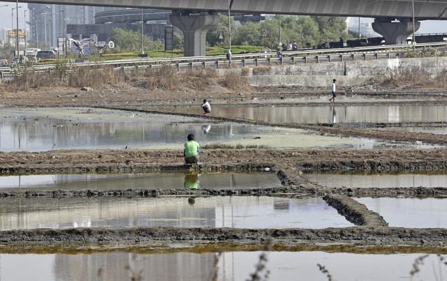 Women go in groups at night, men during the day, to the salt pan lands near Bhakti Park. (Vijayanand Gupta/HT Photo) Women go in groups at night, men during the day, to the salt pan lands near Bhakti Park. (Vijayanand Gupta/HT Photo)