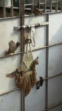 One of the Arundhati’s feeders. (HT) One of the Arundhati’s feeders. (HT)