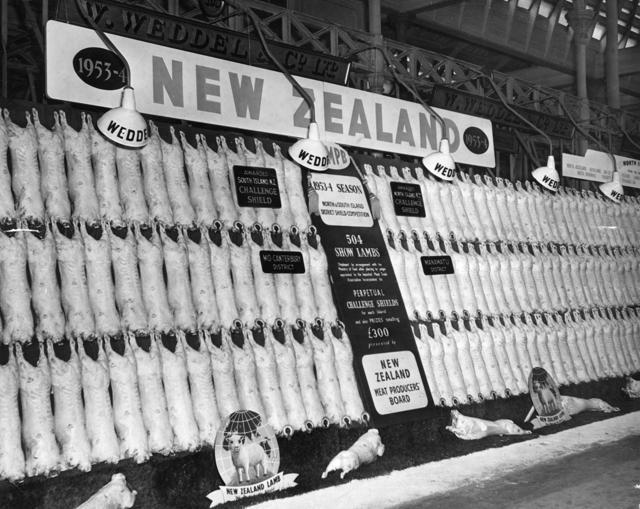 The lamb meat is shipped to Mumbai from New Zealand after it is processed and packaged at different plants of the co-operative. (Getty Images) The lamb meat is shipped to Mumbai from New Zealand after it is processed and packaged at different plants of the co-operative. (Getty Images)