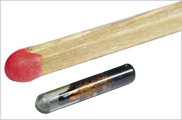 The microchip is even smaller than a matchstick The microchip is even smaller than a matchstick