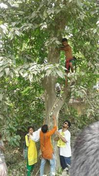 Another group of college students embracing a tree that is being readied for felling. A woodcutter is perched on top ready to chop it down. (Facebook/Ritom Sarkar) Another group of college students embracing a tree that is being readied for felling. A woodcutter is perched on top ready to chop it down. (Facebook/Ritom Sarkar)