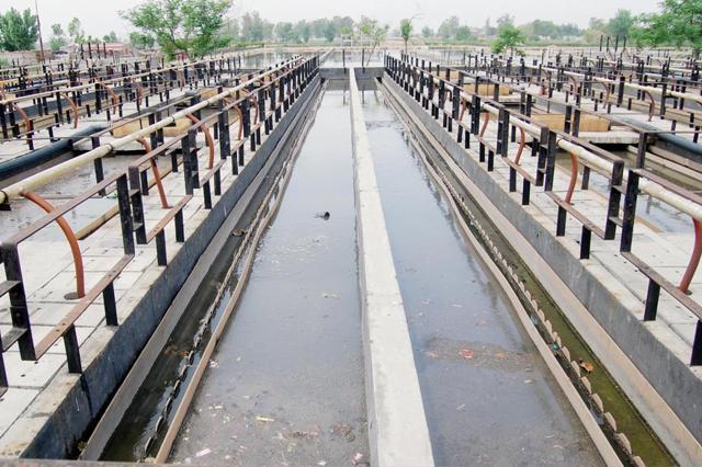 The sewage treatment plant (STP) in Kapurthala. (HT Photo) The sewage treatment plant (STP) in Kapurthala. (HT Photo)