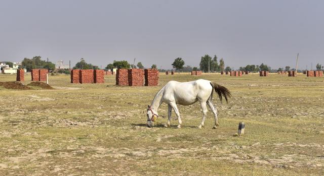 A view of IIM campus site in Amritsar on Wednesday. (Gurpreet Singh/HT Photo)
