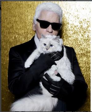 Meet the famous Instagram cats of celebrities | Fashion Trends ...