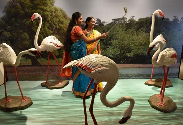 Visitors take a selfie at the flamingo enclosure. (Bachchan Kumar)