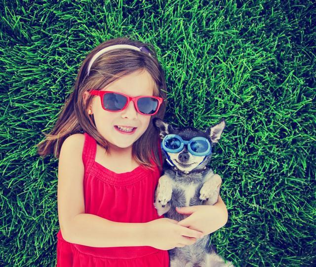 A Swedish study found that children who grew up with dogs had a 15% lower risk of asthma. (Shutterstock) A Swedish study found that children who grew up with dogs had a 15% lower risk of asthma. (Shutterstock)